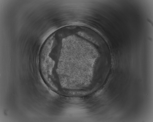 X0000103251007200809251346