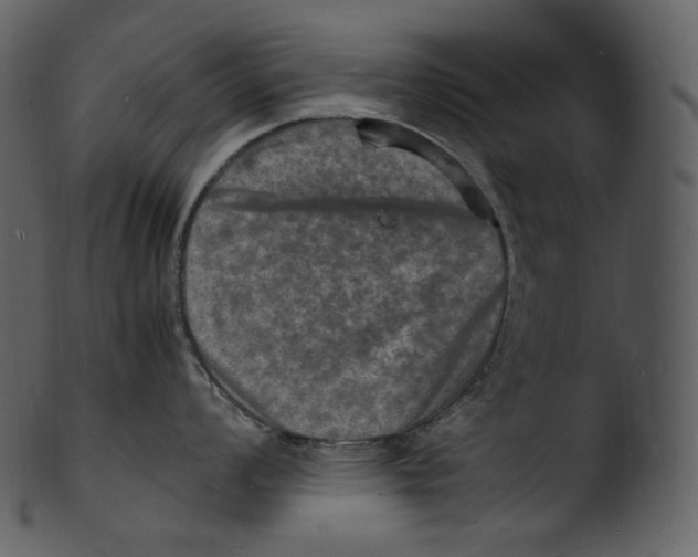 X0000103251008200809251346