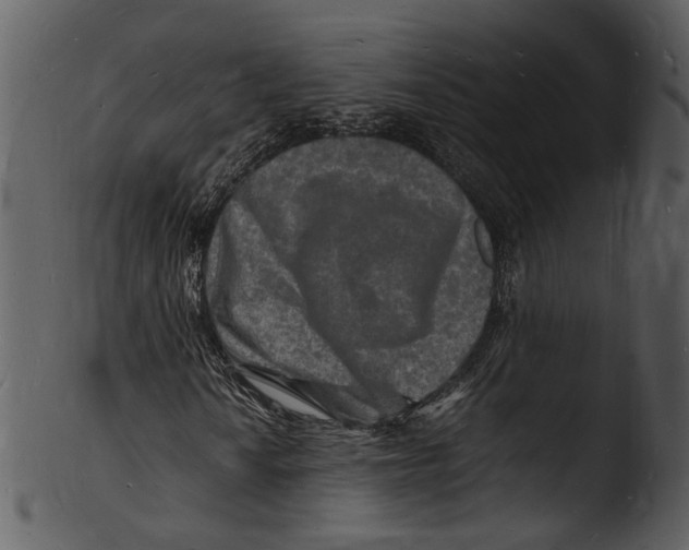 X0000103251010200809251346
