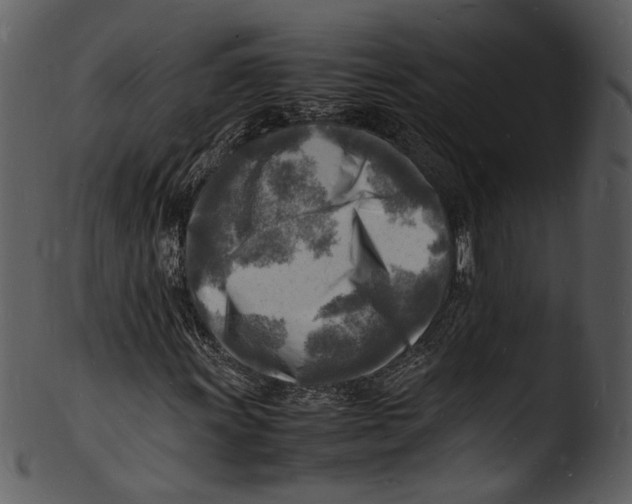 X0000103251011200809251346