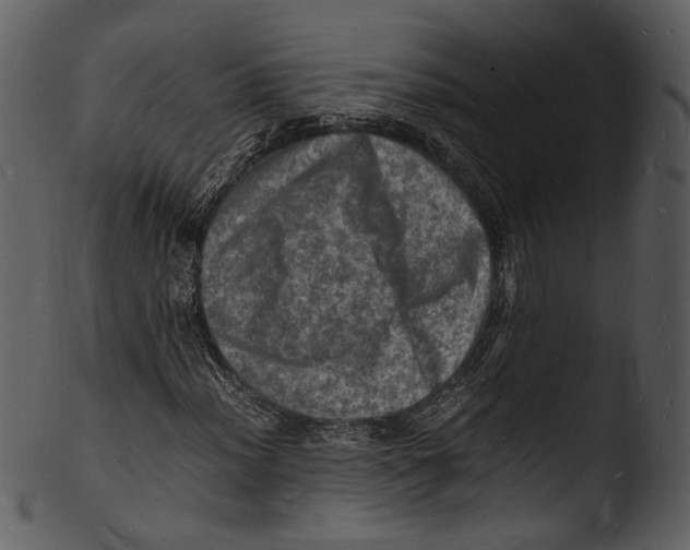 X0000103251012200809251346