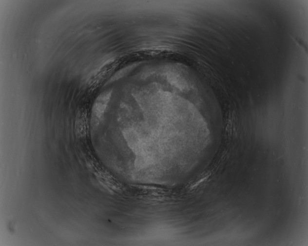 X0000103251014200809251346