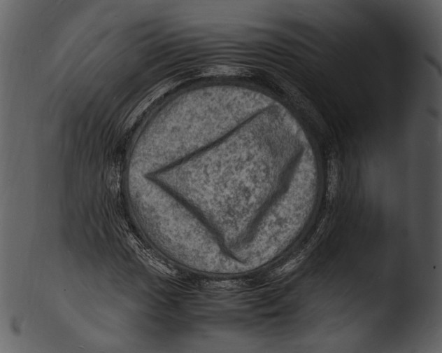 X0000103251017200809251346