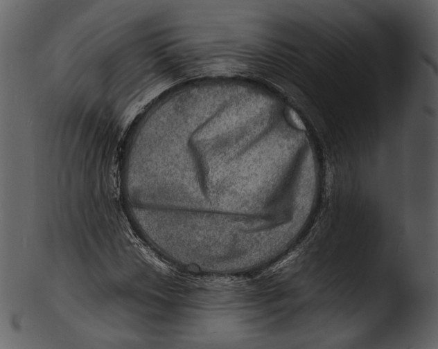 X0000103251018200809251346