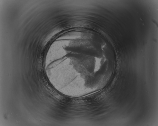 X0000103251019200809251346
