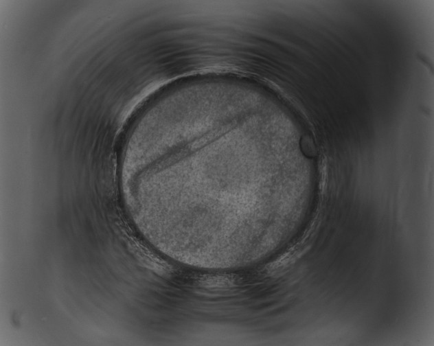 X0000103251021200809251346