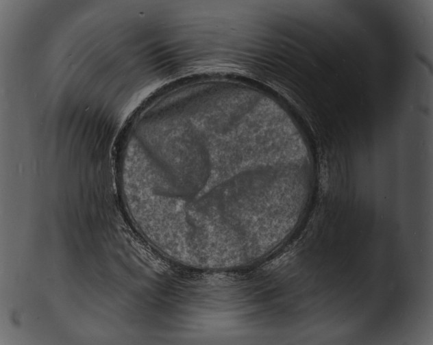 X0000103251022200809251346