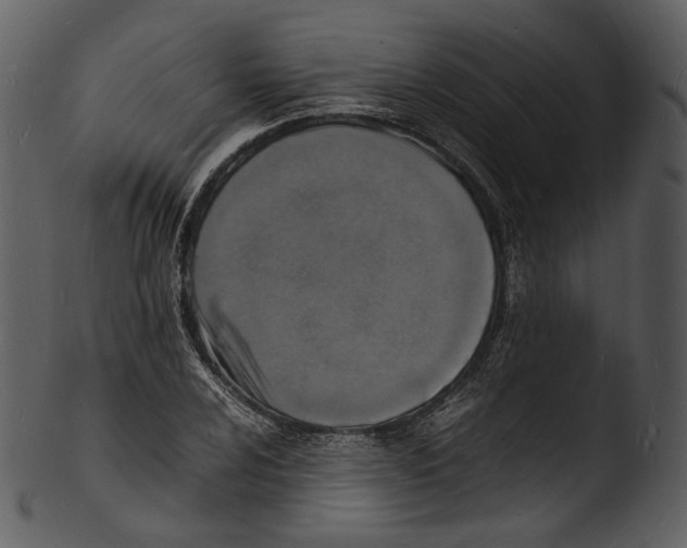 X0000103251024200809251346