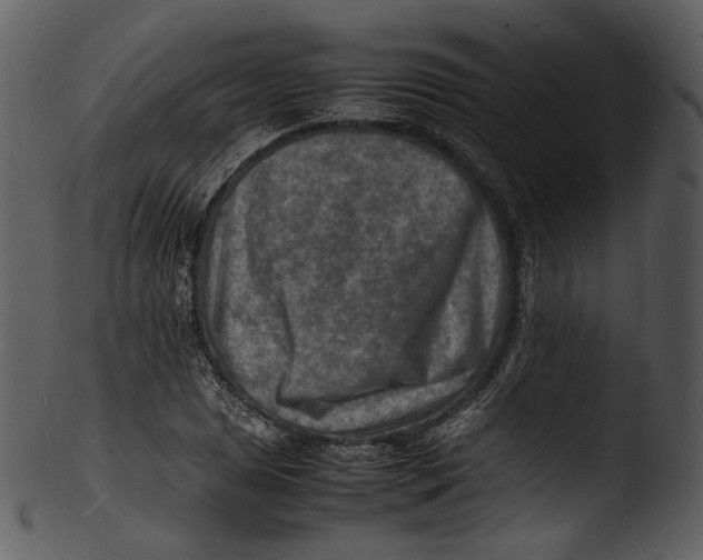 X0000103251025200809251346