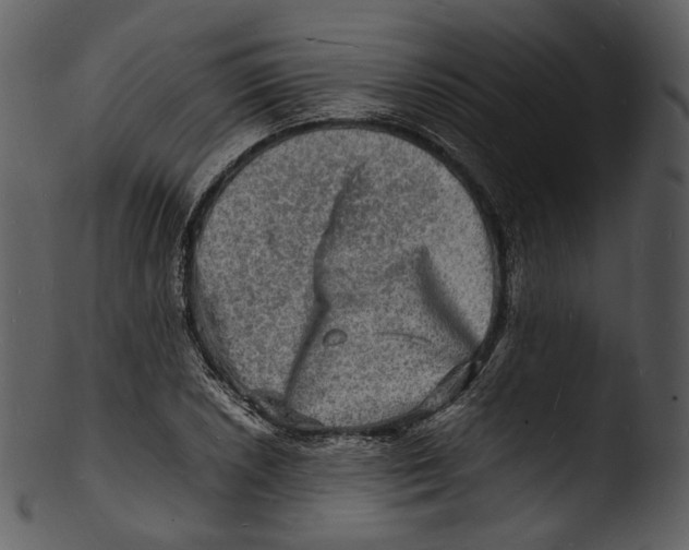 X0000103251026200809251346