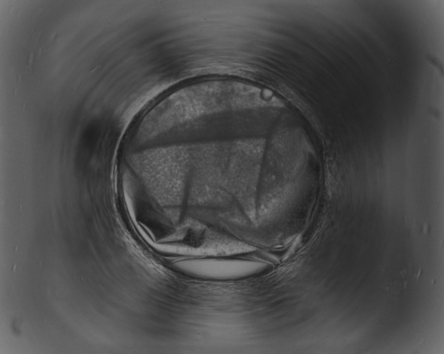 X0000103251028200809251346