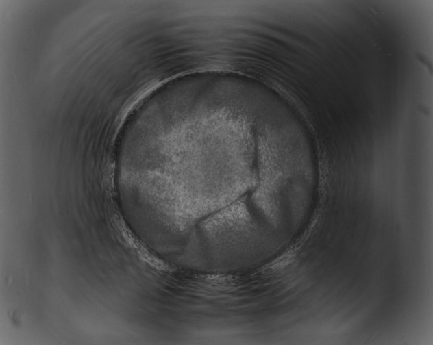 X0000103251029200809251346