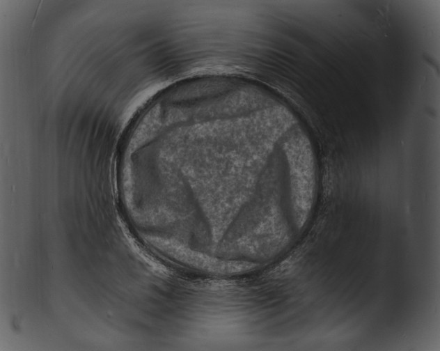 X0000103251030200809251346