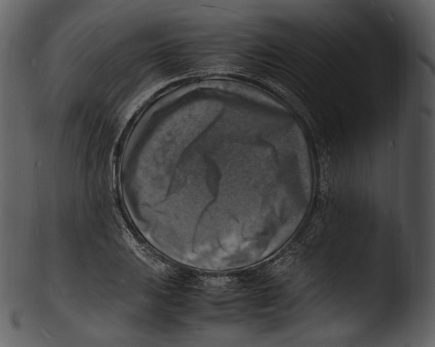 X0000103251031200809251346