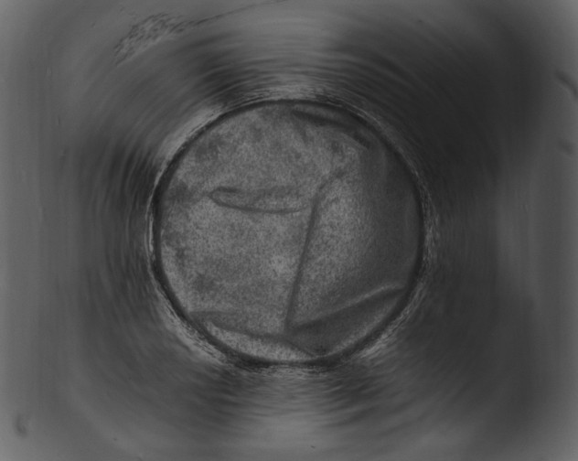 X0000103251034200809251346
