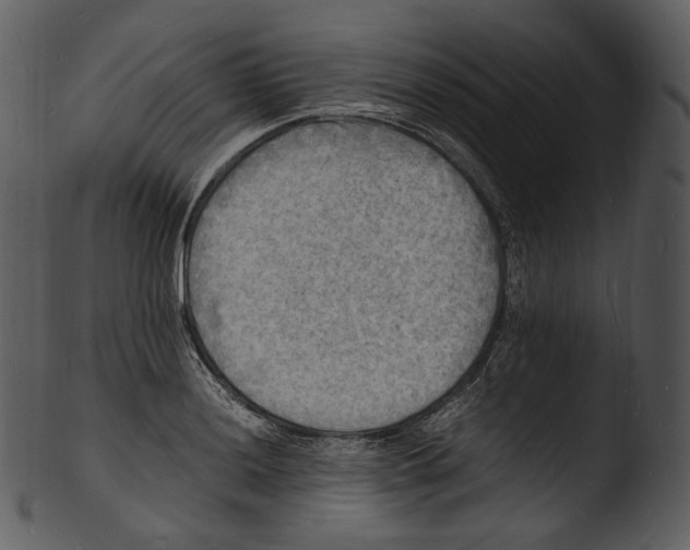 X0000103251036200809251346