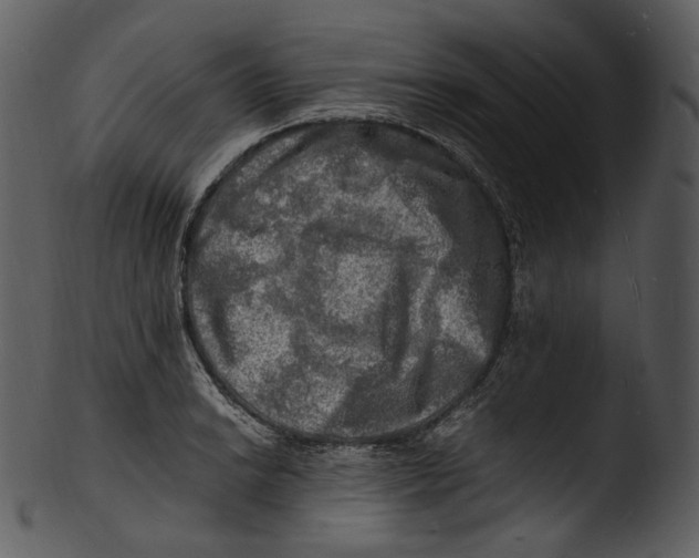 X0000103251038200809251346