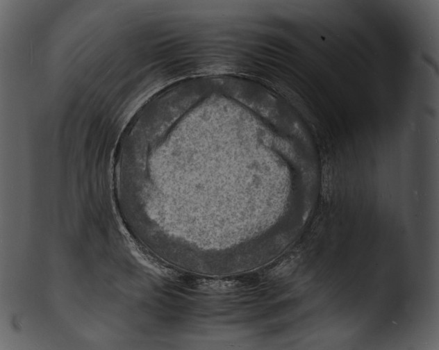 X0000103251039200809251346