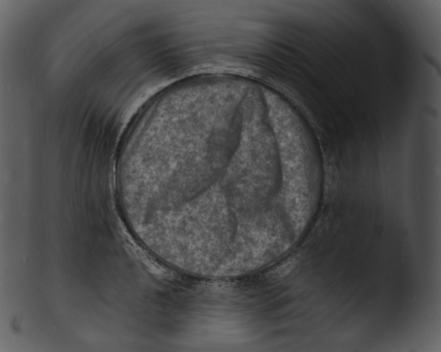 X0000103251040200809251346