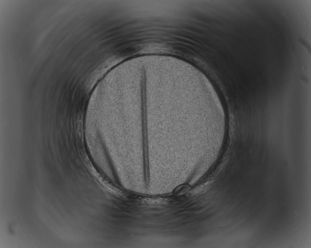 X0000103251041200809251346