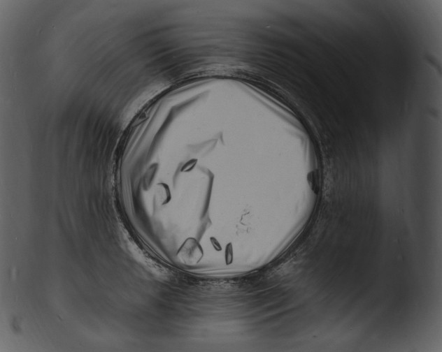 X0000103251042200809251346