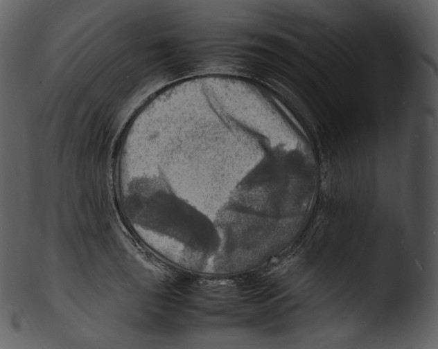 X0000103251043200809251346