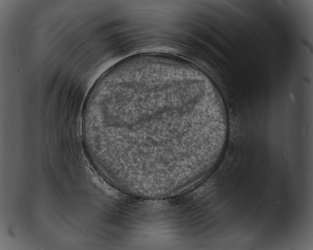 X0000103251044200809251346