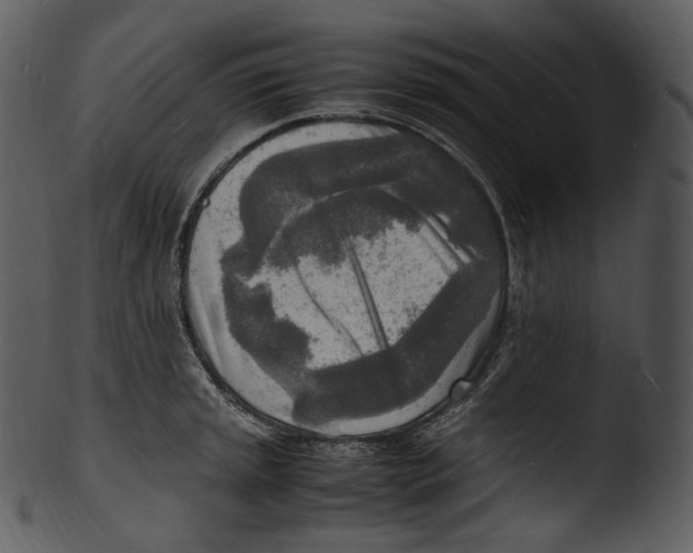 X0000103251045200809251346