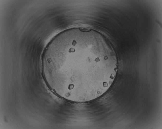 X0000103251046200809251346