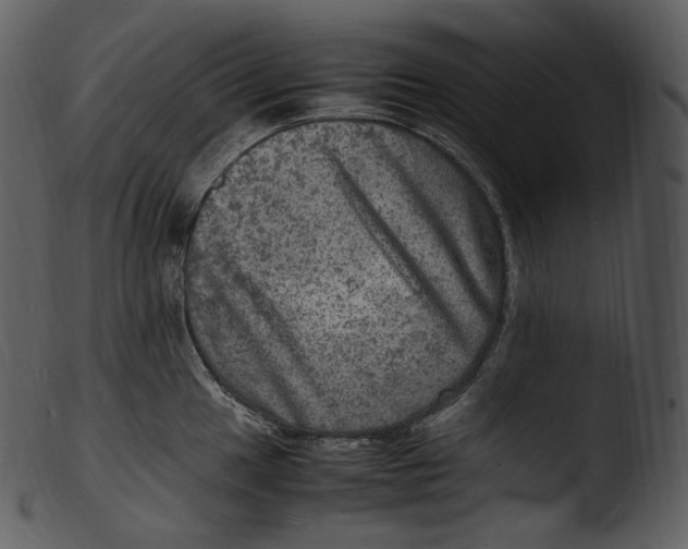 X0000103251049200809251346