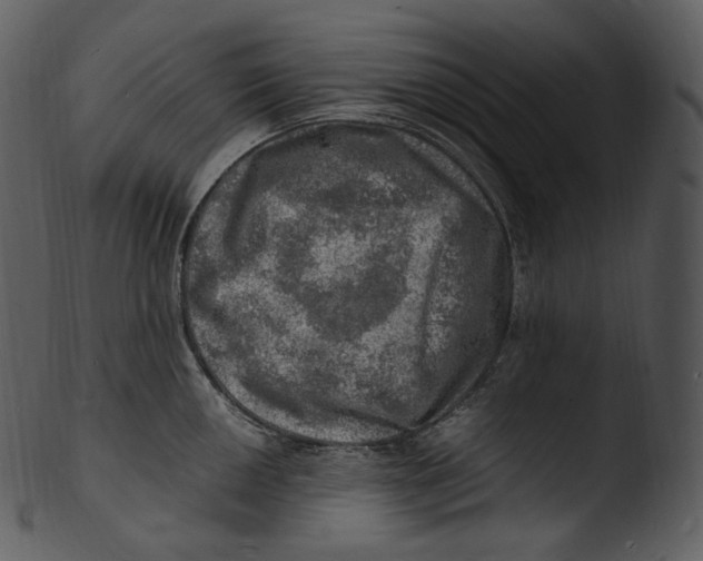 X0000103251050200809251346