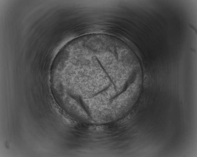 X0000103251051200809251346