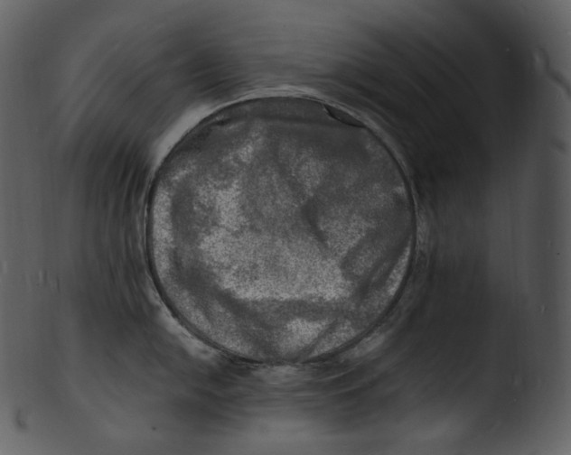 X0000103251054200809251346
