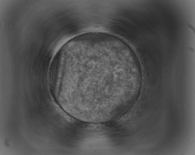 X0000103251056200809251346