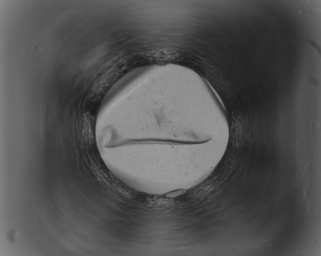X0000103251058200809251346
