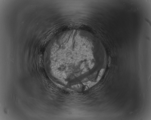 X0000103251059200809251346