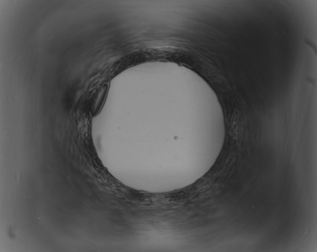X0000103251061200809251346