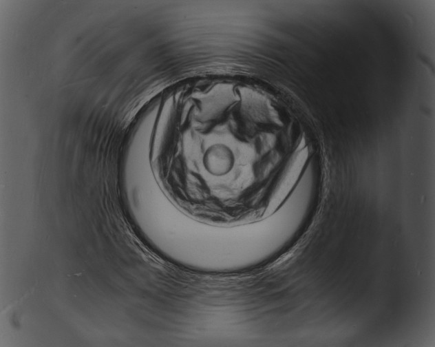X0000103251065200809251346