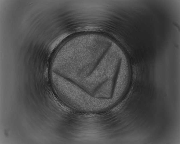 X0000103251066200809251346
