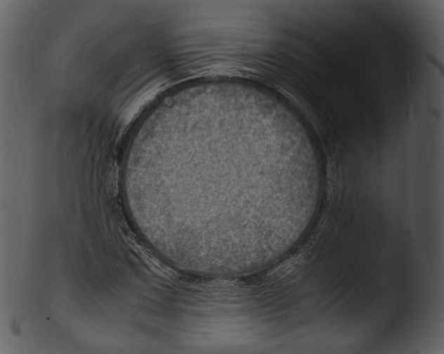 X0000103251067200809251346