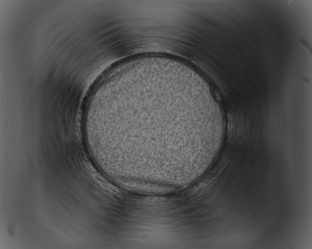 X0000103251068200809251346