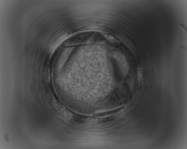 X0000103251069200809251345