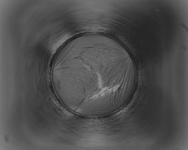 X0000103251071200809251345