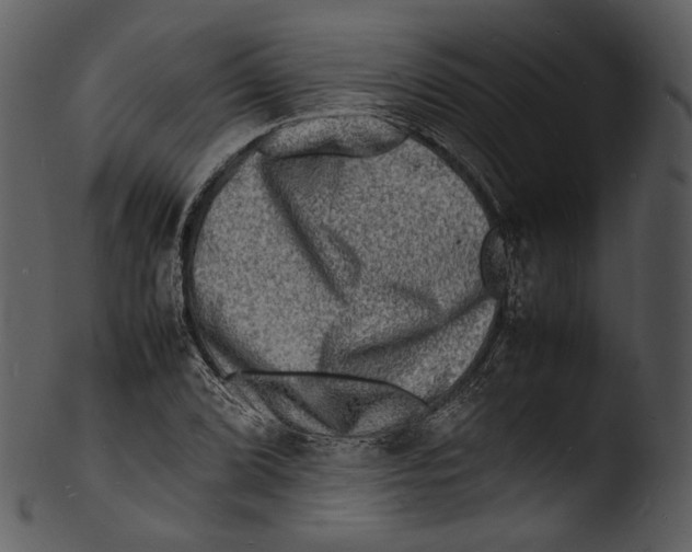 X0000103251072200809251345