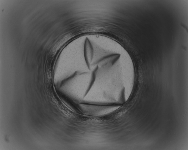 X0000103251073200809251345