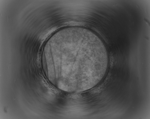 X0000103251074200809251345