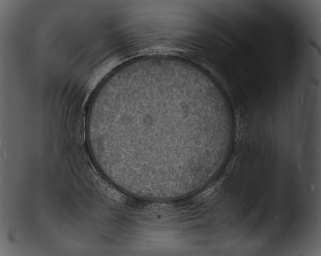 X0000103251075200809251345