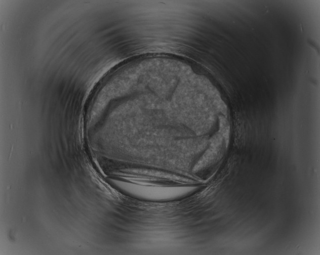 X0000103251076200809251345