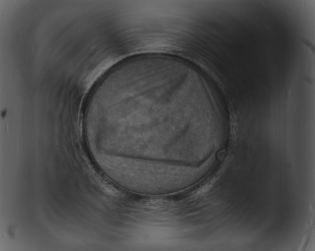 X0000103251077200809251345