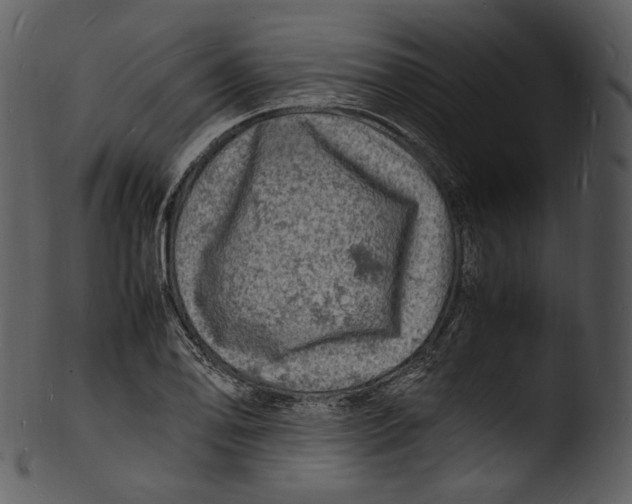 X0000103251078200809251345